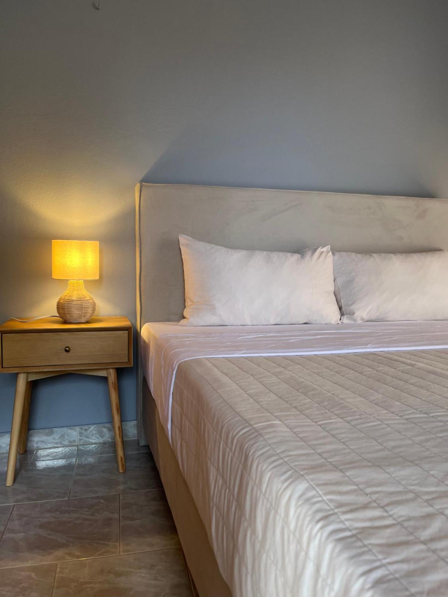 Artemis Vassilikos Aparthotel 3*