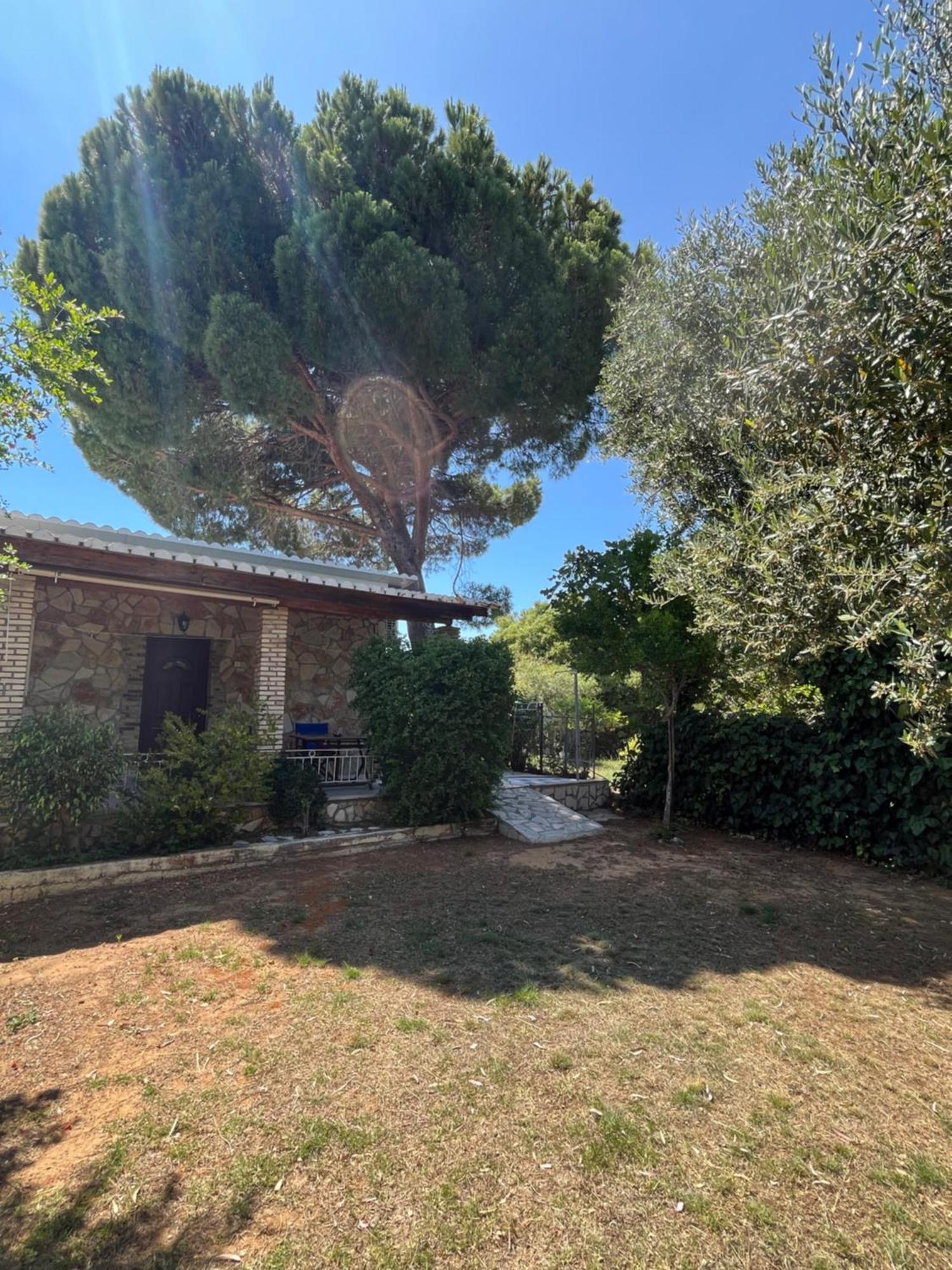 Artemis Vassilikos 3* Vasilikos (Zakynthos)