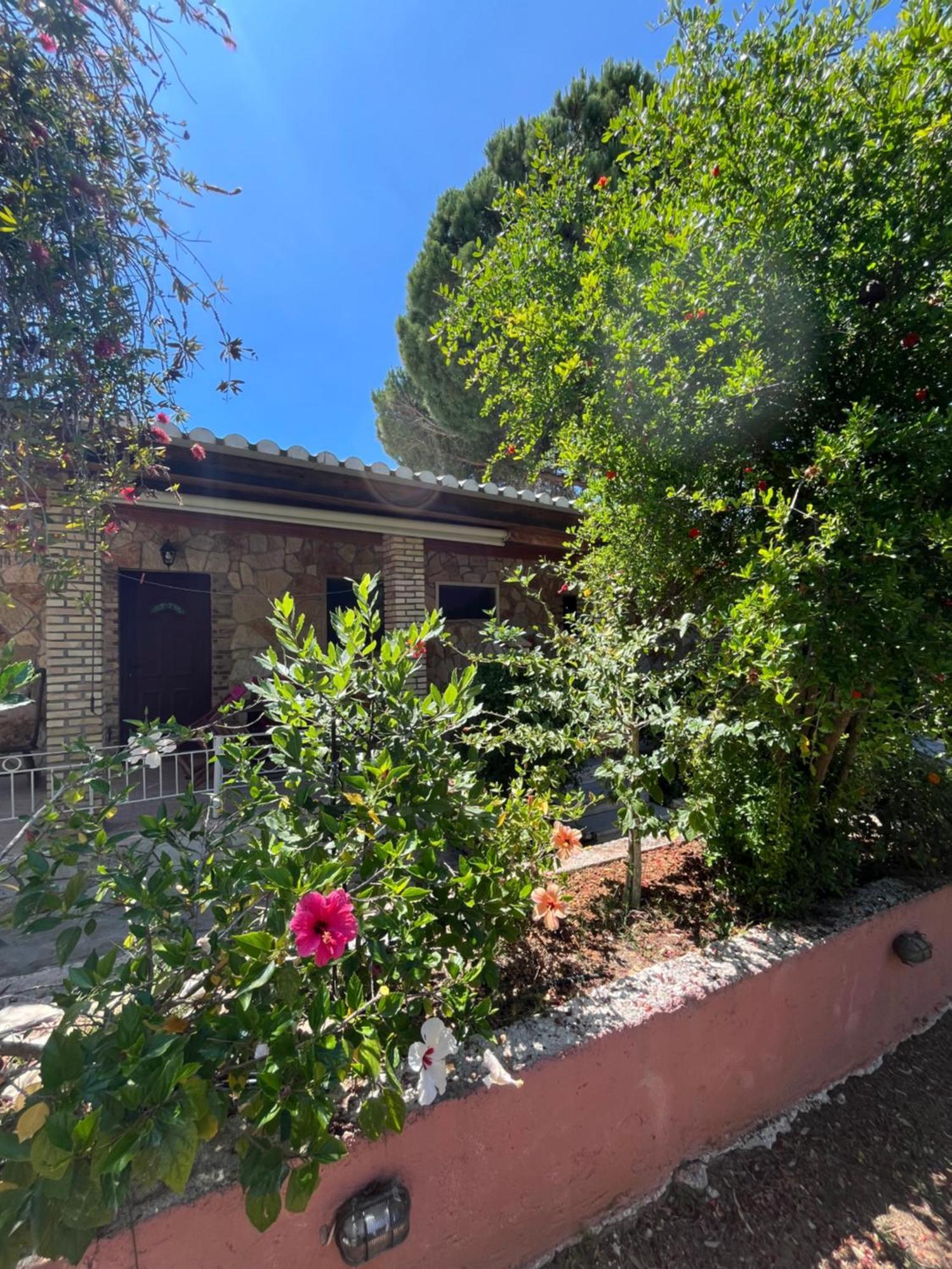 Aparthotel Artemis Vassilikos Vasilikos (Zakynthos)